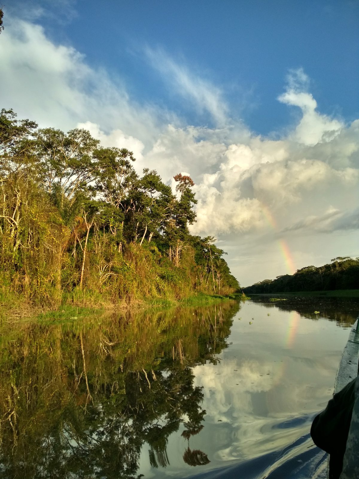 A channel through Amazon rainforest at golden hour, near Iquitos, Peru